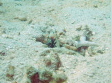 img0059.jpg