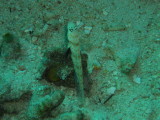 img0062.jpg