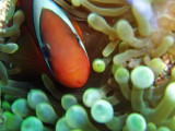 img0063.jpg