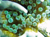 img0066.jpg
