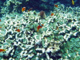 img0070.jpg