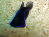 img0073.jpg