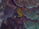 img0075.jpg