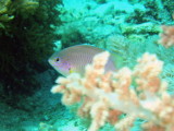 img0076.jpg