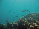img0078.jpg