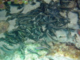 img0079.jpg