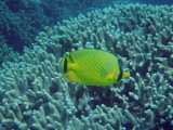 img0080.jpg