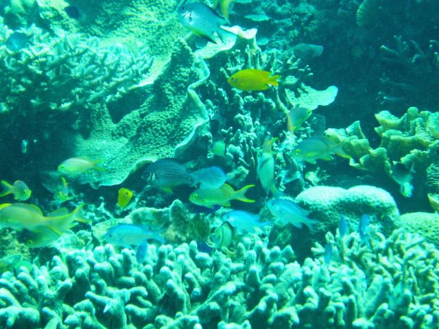img0006.jpg