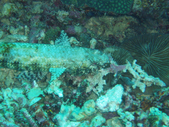 img0010.jpg