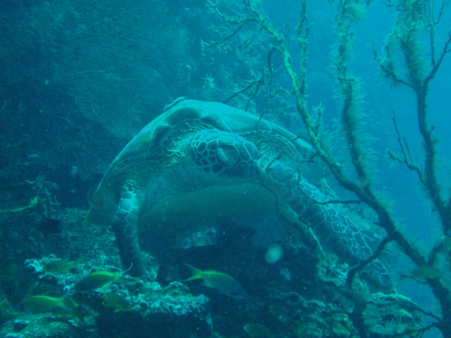 img0012.jpg