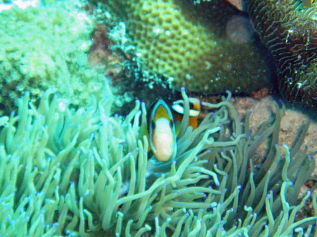 img0015.jpg