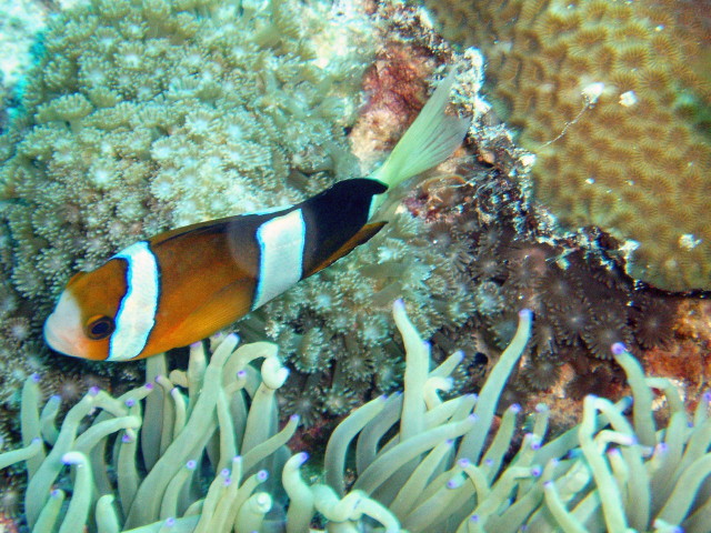 img0016.jpg