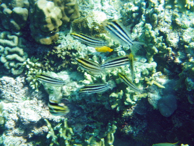 img0018.jpg