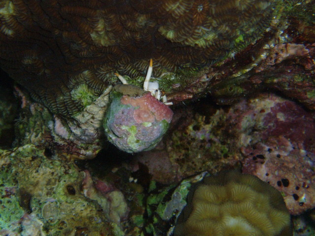 img0019.jpg