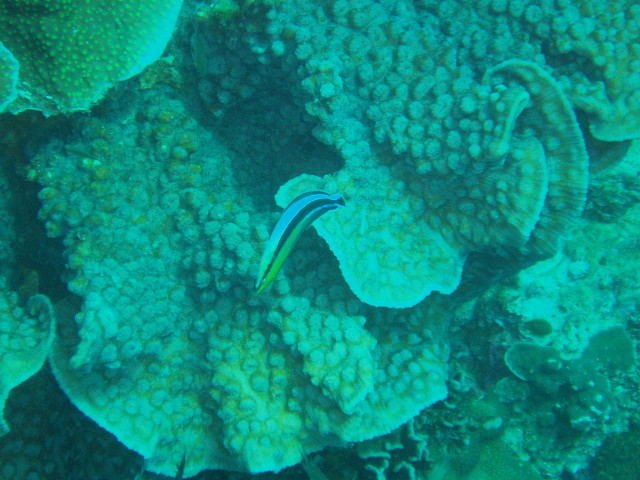 img0021.jpg