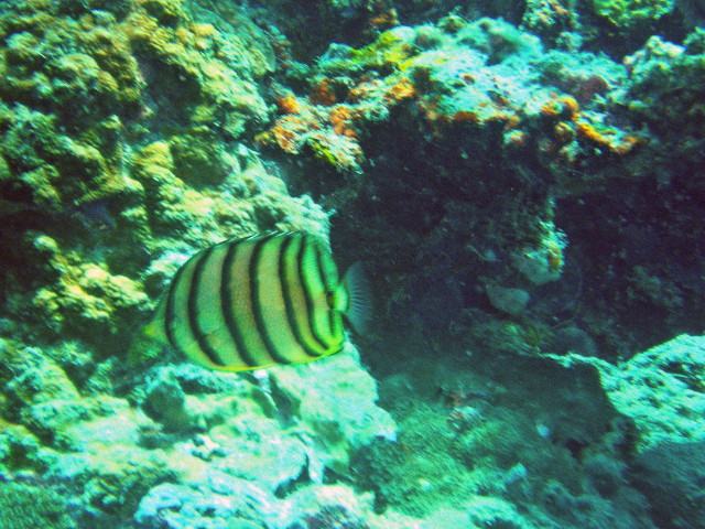 img0022.jpg