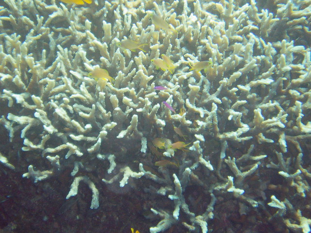 img0023.jpg