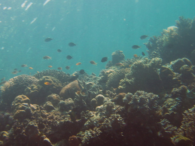 img0024.jpg