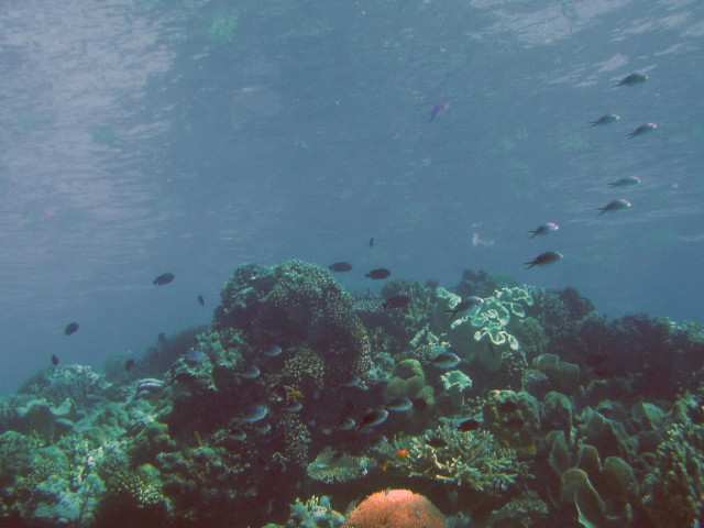 img0027.jpg