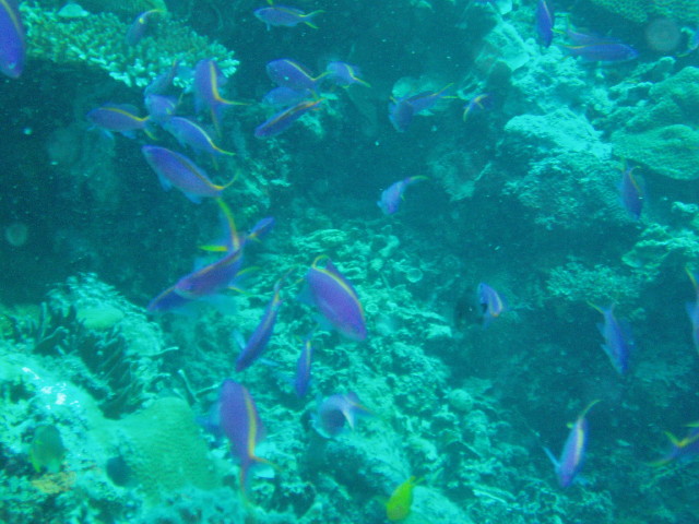 img0028.jpg