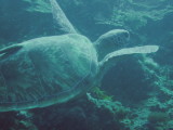img0002.jpg