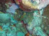 img0004.jpg