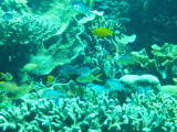 img0006.jpg