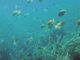 img0014.jpg