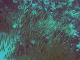 img0020.jpg