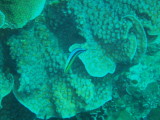 img0021.jpg