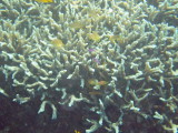 img0023.jpg