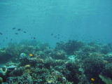 img0025.jpg