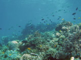 img0026.jpg