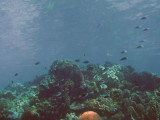 img0027.jpg