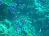 img0028.jpg