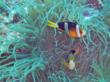 img0029.jpg