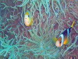 img0030.jpg