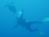 img0031.jpg