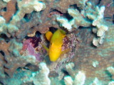 img0032.jpg