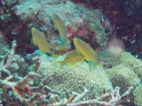 img0033.jpg