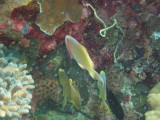 img0034.jpg