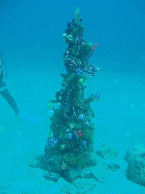 img0005.jpg