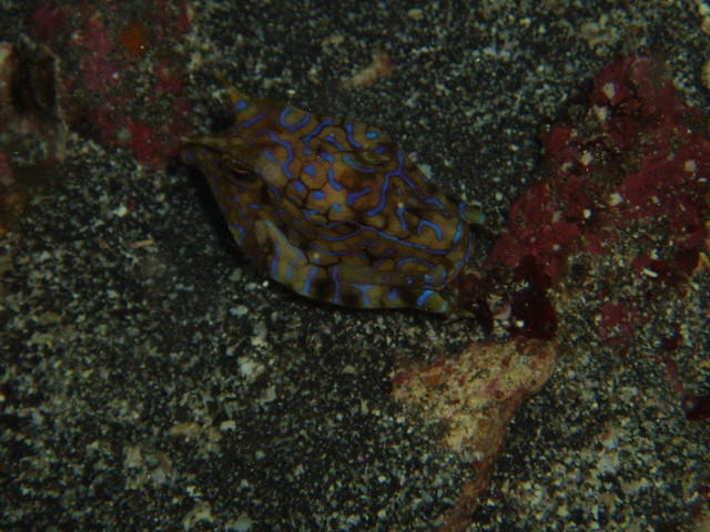 img0006.jpg