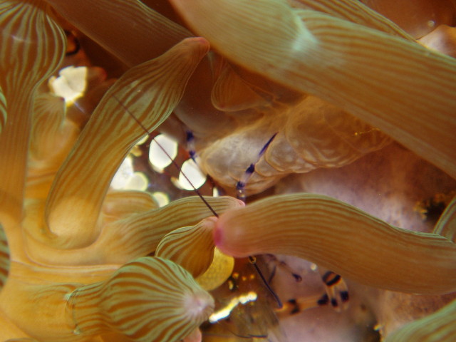 img0009.jpg