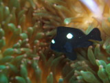 img0008.jpg