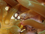 img0009.jpg