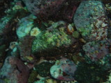 img0012.jpg