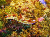 img0005.jpg