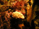 img0001.jpg