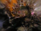 img0002.jpg